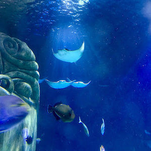 Meet your Posher, Larry